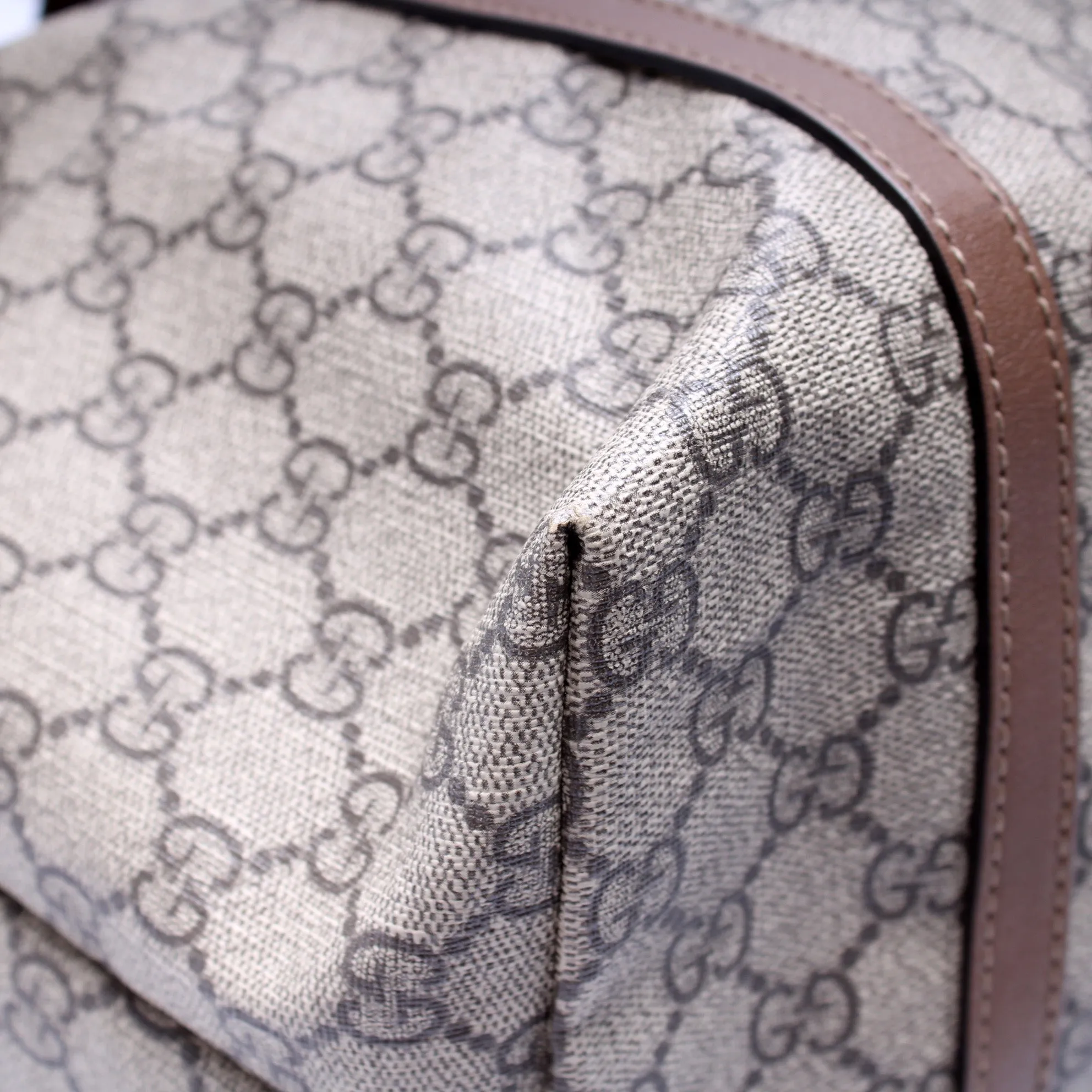 309613 GG Supreme Nice Tote