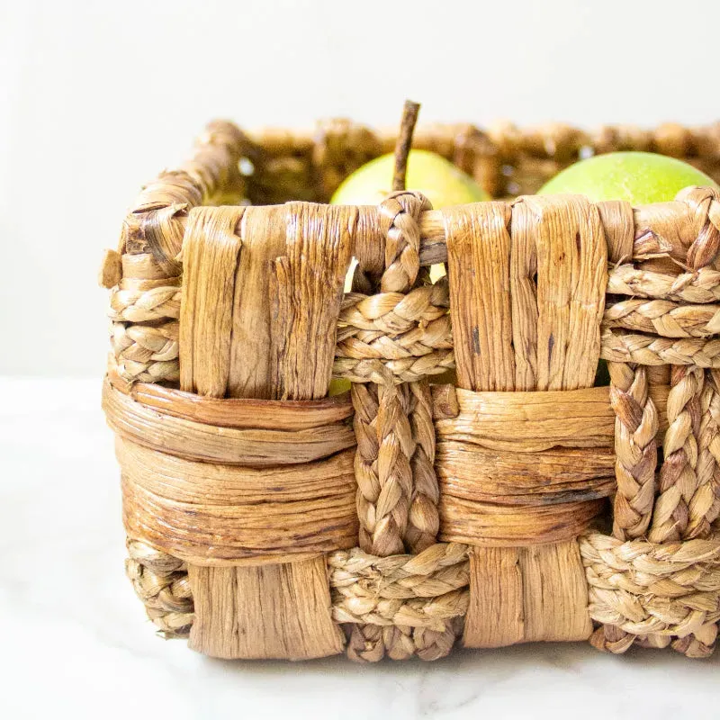 Fancy Water Hyacinth Woven Basket | 8 Inches