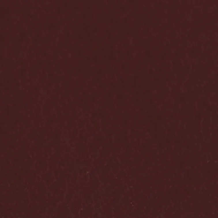 Valet Tray 14 in Luggage and Oxblood